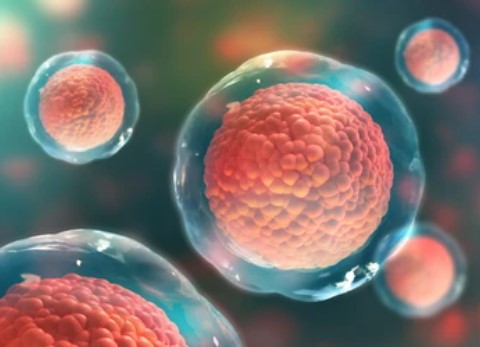 stem cell therapy reference image