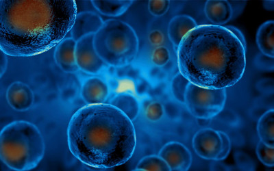 How Can I Increase Stem Cells Naturally?