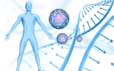 What Problems Can Stem Cell Activation Help Your Body’s Defenses & Healing?