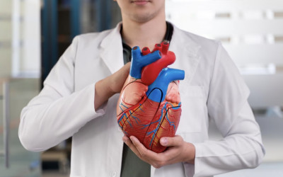 Can Stem Cells Help Improve Heart Diseases?
