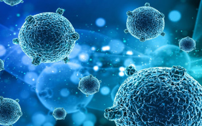 Everything You Need to Know About Exosomes