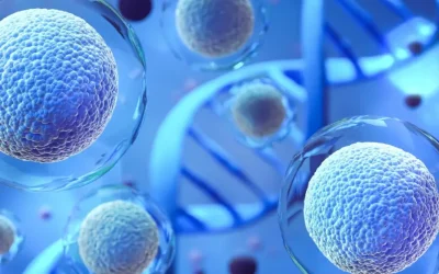 What Are NK Exosomes? (Natural Killer Cell Exosomes)