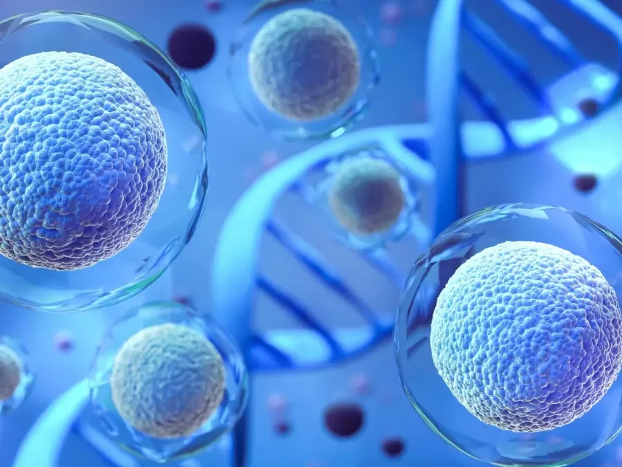 Why Are Exosomes Considered the Future of Regenerative Medicine?