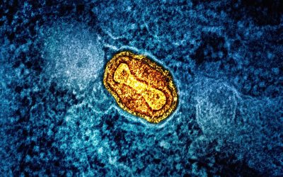 Mitochondria: The Hidden Key to Unlocking a Longer, Healthier, Happier Life