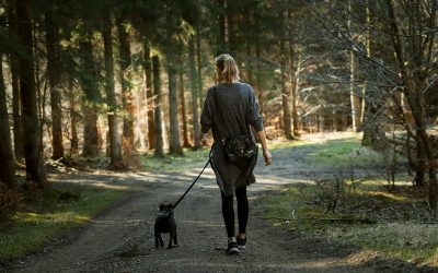 Walking for Better Health: The Powerful Truth Behind 7,000 vs. 10,000 Steps