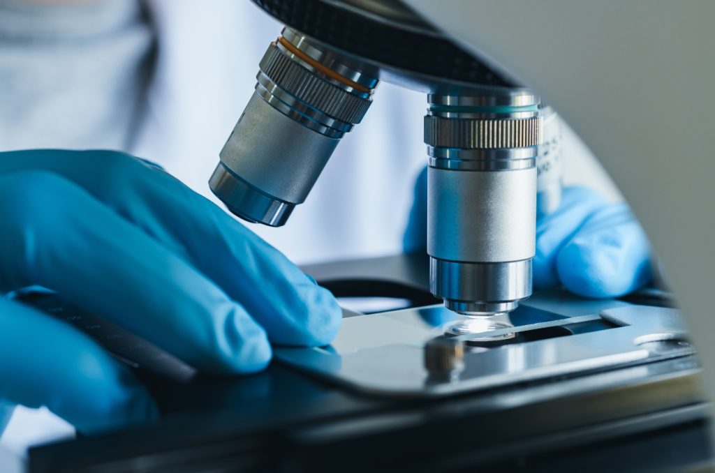 Researchers working in a biomedical laboratory, illustrating the scientific study of autophagy and chronic fatigue at the cellular level.